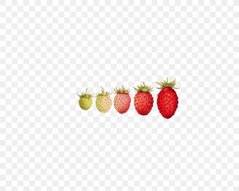 Strawberry Pattern, PNG, 1000x800px, Strawberry, Food, Fruit, Strawberries Download Free