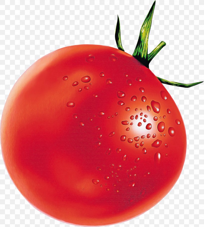 Tomato Cartoon, PNG, 1492x1659px, Plum Tomato, Apple, Bush Tomato, Cherry Tomatoes, Food Download Free