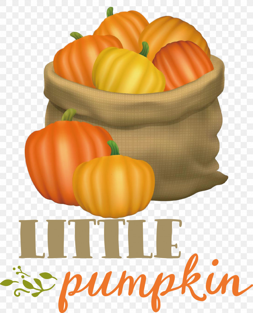 Little Pumpkin Thanksgiving Autumn, PNG, 2063x2553px, Little Pumpkin, Autumn, Fruit, Local Food, Meter Download Free