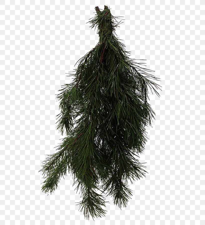 Spruce Christmas Ornament Fir Pine Larch, PNG, 535x900px, Spruce, Branch, Christmas, Christmas Decoration, Christmas Ornament Download Free