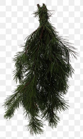 Christmas Tree - Spruce Christmas Ornament Fir Pine Larch PNG