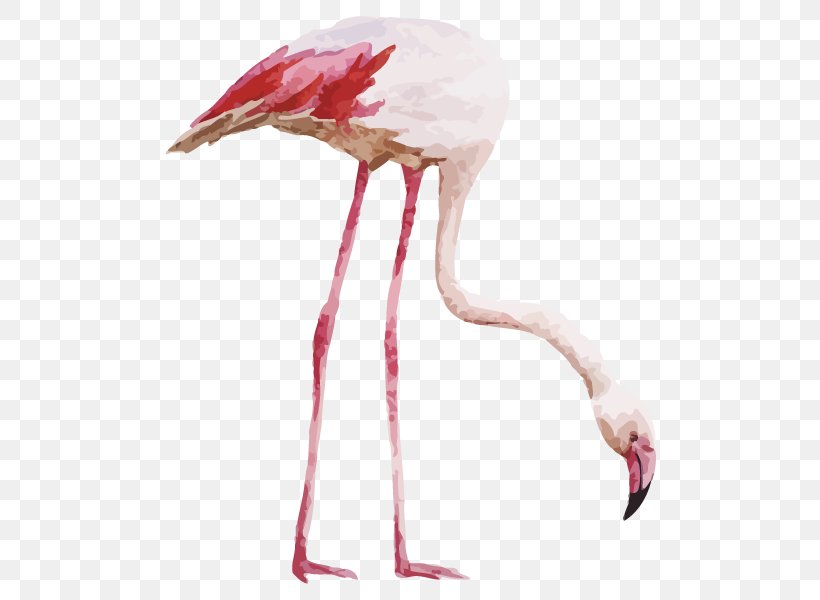 Flamingo Drawing Watercolor Painting, PNG, 600x600px, Flamingo, Art, Beak, Bird, Ciconiiformes Download Free