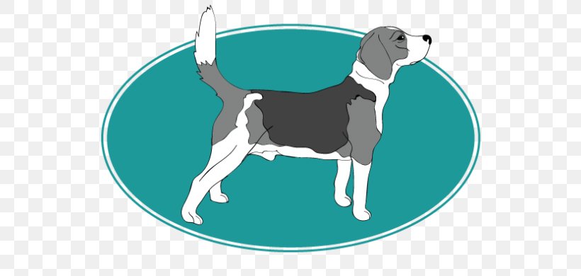 Italian Greyhound Beagle-Harrier, PNG, 720x390px, Italian Greyhound, Beagle, Beagleharrier, Breed, Carnivoran Download Free