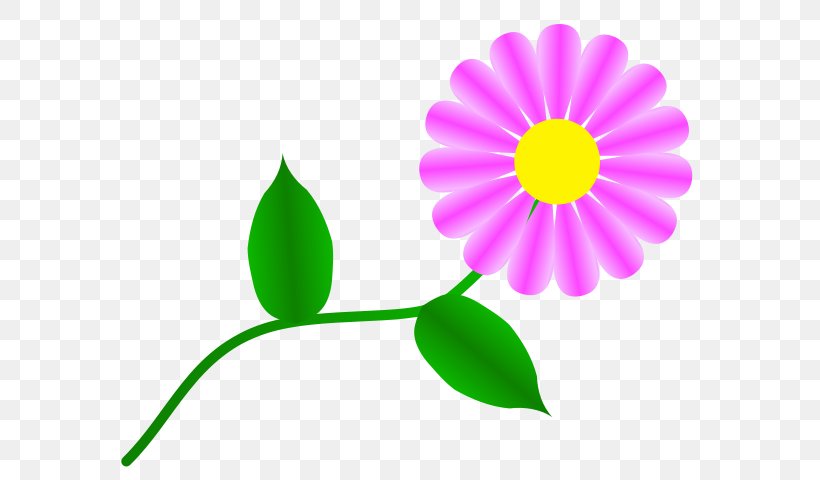 Transvaal Daisy Common Daisy Free Content Clip Art, PNG, 600x480px, Transvaal Daisy, Color, Common Daisy, Daisy Family, Drawing Download Free