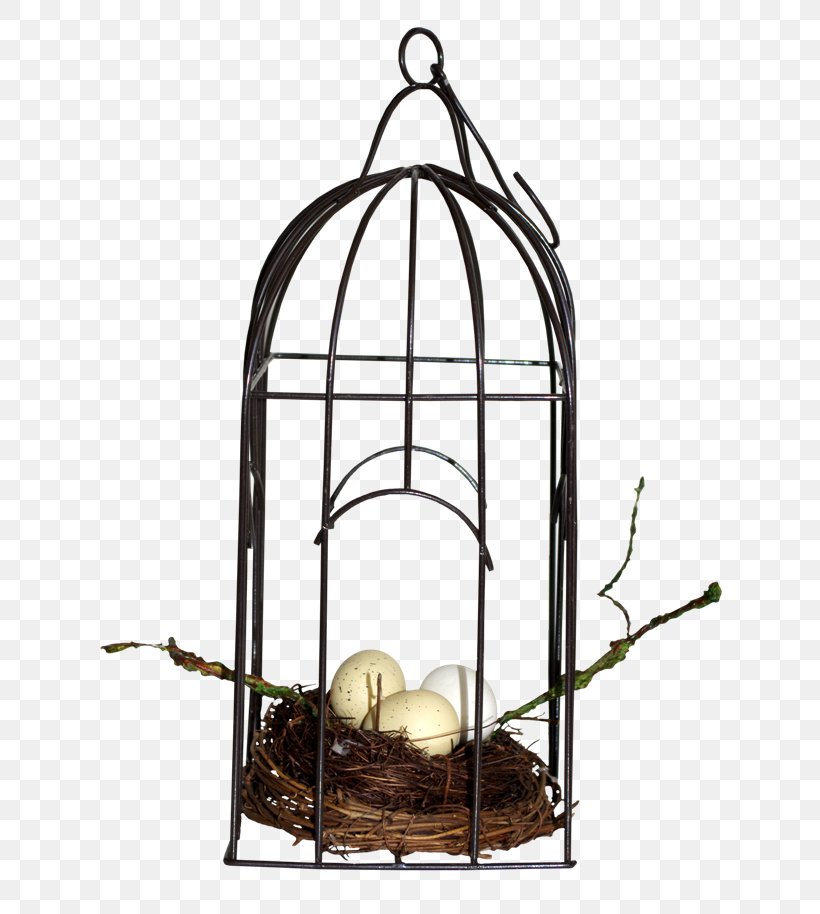 Birdcage Data, PNG, 650x914px, Cage, Arch, Bird, Birdcage, Black Download Free