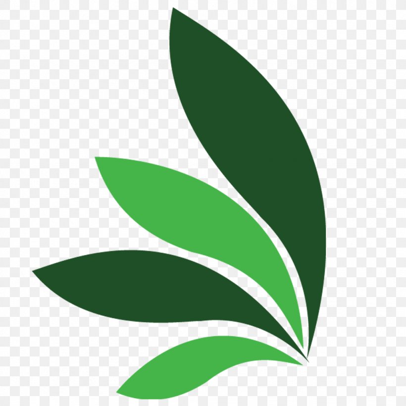 Leaf Plant Stem Green Clip Art, PNG, 1024x1024px, Leaf, Grass, Green, Plant, Plant Stem Download Free