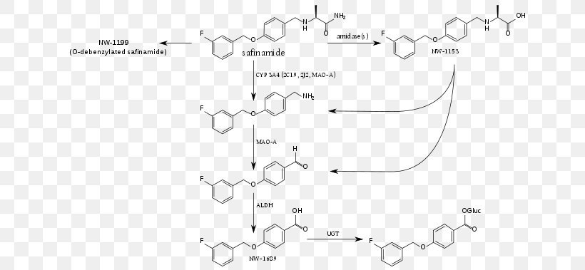 Safinamide Cytochrome P450 Metabolism Metabolite Enzyme, PNG, 660x379px, Safinamide, Area, Black And White, Cytochrome P450, Diagram Download Free