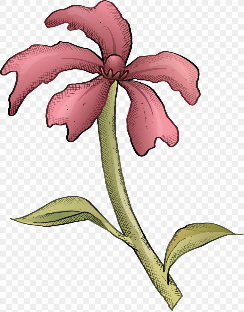 Cut Flowers Cattleya Orchids Clip Art, PNG, 5068x6467px, Flower, Basket, Branch, Cattleya, Cattleya Orchids Download Free