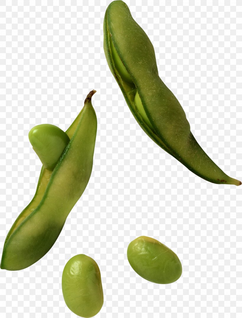 Edamame Soy Milk Soybean Sprout, PNG, 2063x2713px, Edamame, Bean, Broad Bean, Commodity, Common Bean Download Free