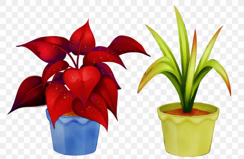 Flowerpot Flower Plant Houseplant Petal, PNG, 1024x667px, Watercolor, Anthurium, Flower, Flowering Plant, Flowerpot Download Free