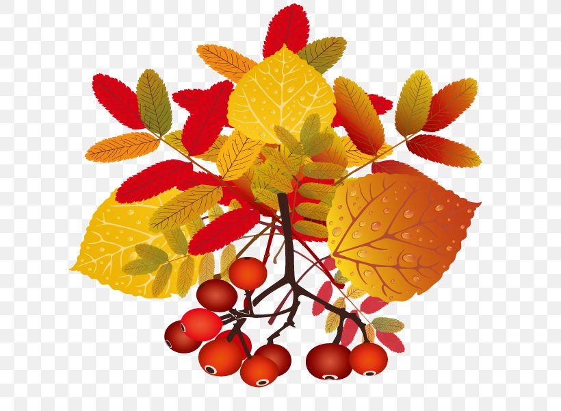 Leaf Clip Art, PNG, 758x600px, Leaf, Auglis, Autumn, Food, Fruit Download Free