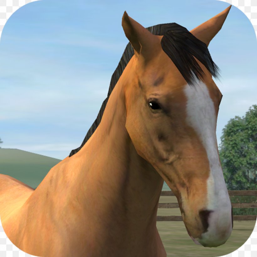 My Horse Clumsy Ninja My Fan Horse Farm, PNG, 1024x1024px, My Horse, Android, Bridle, Clumsy Ninja, Colt Download Free