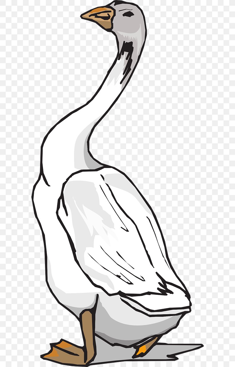 Goose Grey Geese Duck Bird Clip Art, PNG, 640x1280px, Goose, Artwork, Beak, Bird, Black And White Download Free
