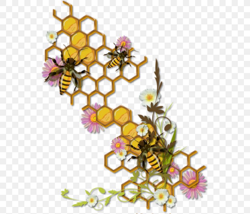 Honey Bee Honeycomb Bumblebee, PNG, 550x703px, Bee, Art, Beehive, Branch, Bumblebee Download Free