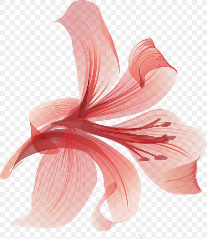Lily Flower, PNG, 1079x1245px, Lily Flower, Amaryllis, Artificial Flower, Clothing, Cut Flowers Download Free