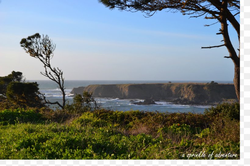 Mendocino Cliff House Adventure Trail Nature Reserve, PNG, 1563x1040px, Mendocino, Adventure, Bay, California, City Download Free
