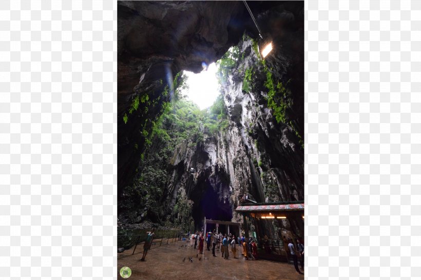 Rainforest Tree Tourism, PNG, 3000x2000px, Rainforest, Cave, Flora, Forest, Formation Download Free
