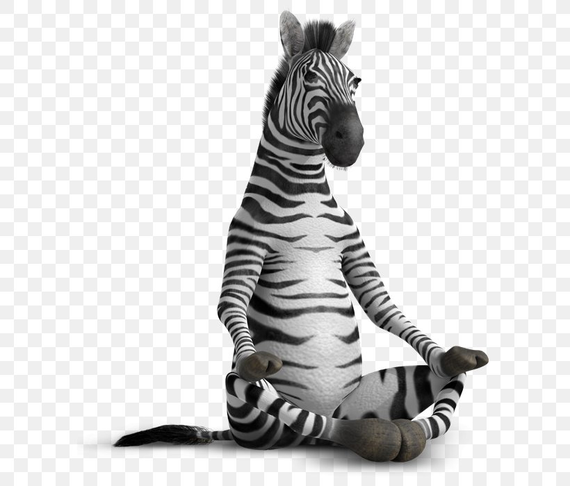 Why Zebras Don't Get Ulcers Ballpoint Pen Gel Pen, PNG, 597x700px, Zebra, Ballpoint Pen, Gel Pen, Horse Like Mammal, Ink Download Free