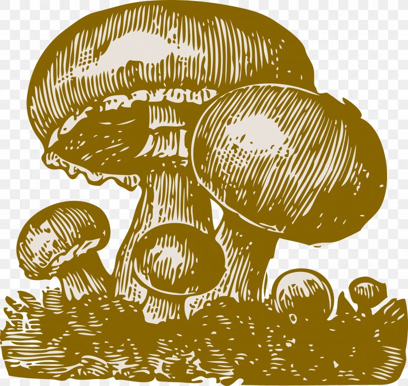 Common Mushroom Fungus Clip Art, PNG, 2400x2270px, Common Mushroom, Agaricus, Amanita Muscaria, Edible Mushroom, Enokitake Download Free