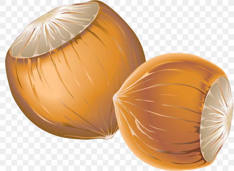 Hazelnut Acorn Nucule Clip Art, PNG, 4939x3608px, Hazelnut, Acorn, Auglis, Ingredient, Nucule Download Free