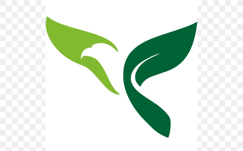 Logo Green Eagle Solutions Clip Art, PNG, 512x512px, Logo, Brand, Corporate Image, Estand, Grass Download Free