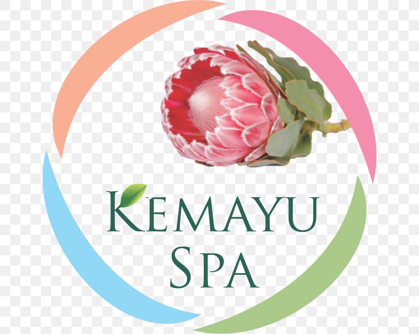 Kemayu Spa Day Spa Beauty Parlour Hillcrest, KwaZulu-Natal, PNG, 654x654px, Spa, A La Carte, Beauty Parlour, Brand, Day Spa Download Free