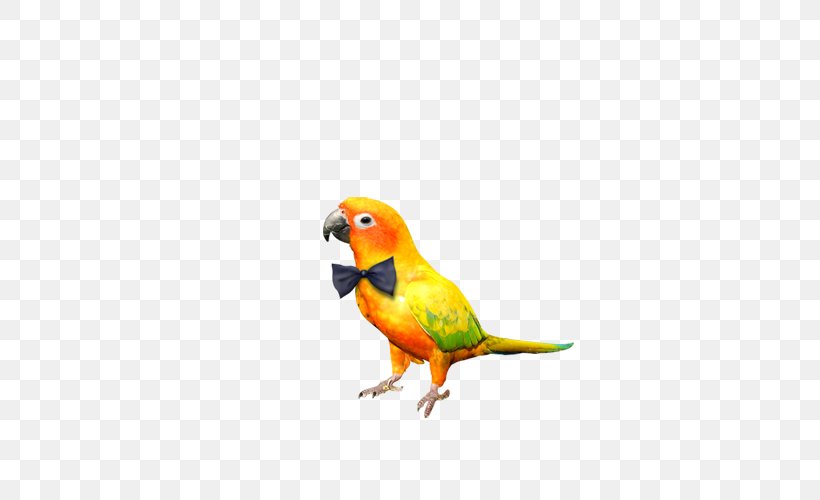 Parrot Bird Gratis, PNG, 500x500px, Parrot, Beak, Bird, Bird Supply, Bow Tie Download Free