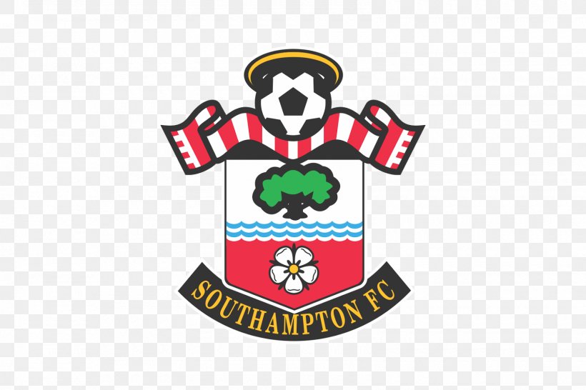 Southampton F.C. Premier League Newcastle United F.C. FA Cup, PNG, 1600x1067px, Southampton Fc, Area, Arsenal Fc, Artwork, Brand Download Free