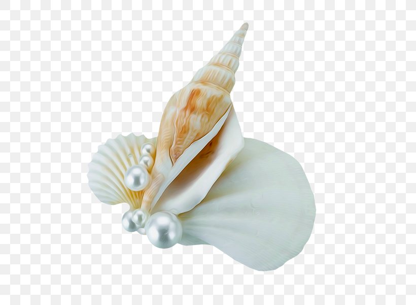 Wedding Cake Seashell Boutonnixe8re Flower Bouquet, PNG, 600x600px, Wedding Cake, Beach, Bride, Bridegroom, Bridesmaid Download Free