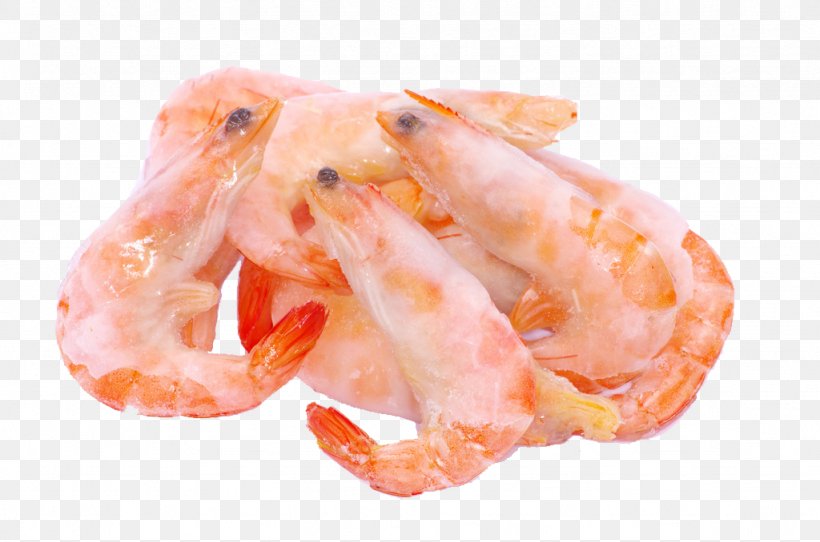 Caridea Shrimp Frying, PNG, 1024x678px, Caridea, Animal Source Foods, Caridean Shrimp, Decapoda, Dendrobranchiata Download Free