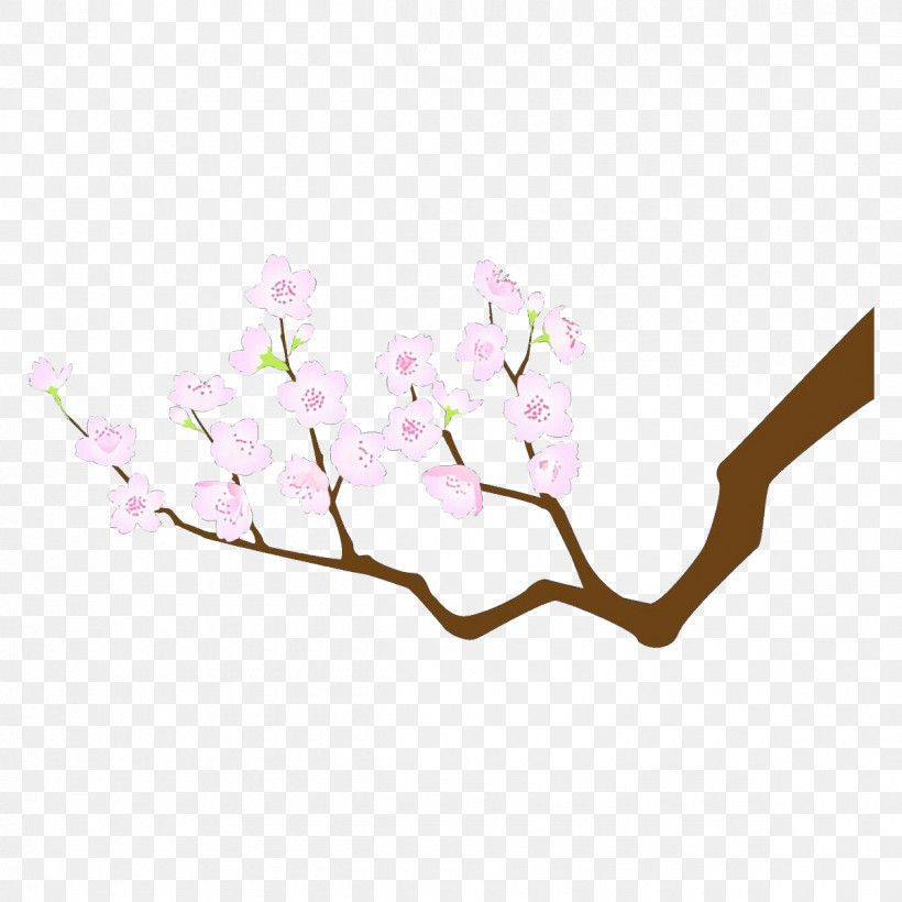 Cherry Blossom, PNG, 1200x1200px, Branch, Blossom, Cherry Blossom, Flower, Magnolia Download Free