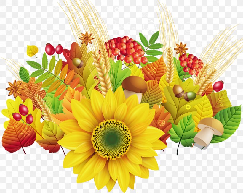 Morning Daytime Autumn Mood Internet, PNG, 1220x972px, Morning, Autumn, Chrysanths, Cut Flowers, Daisy Family Download Free