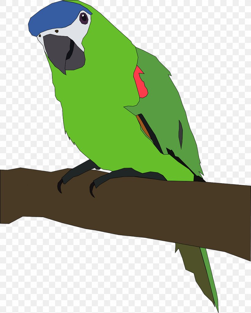 Parrot Bird Desktop Wallpaper Clip Art, PNG, 1027x1280px, Parrot, Beak, Bird, Blog, Common Pet Parakeet Download Free