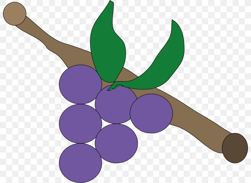 Purple Grapevines Clip Art, PNG, 800x600px, Purple, Food, Fruit, Grape, Grapevine Family Download Free