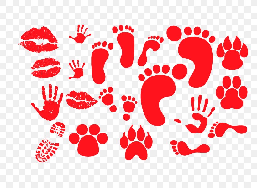 Footprint Animal Track Graphic Arts Clip Art, PNG, 800x600px, Watercolor, Cartoon, Flower, Frame, Heart Download Free