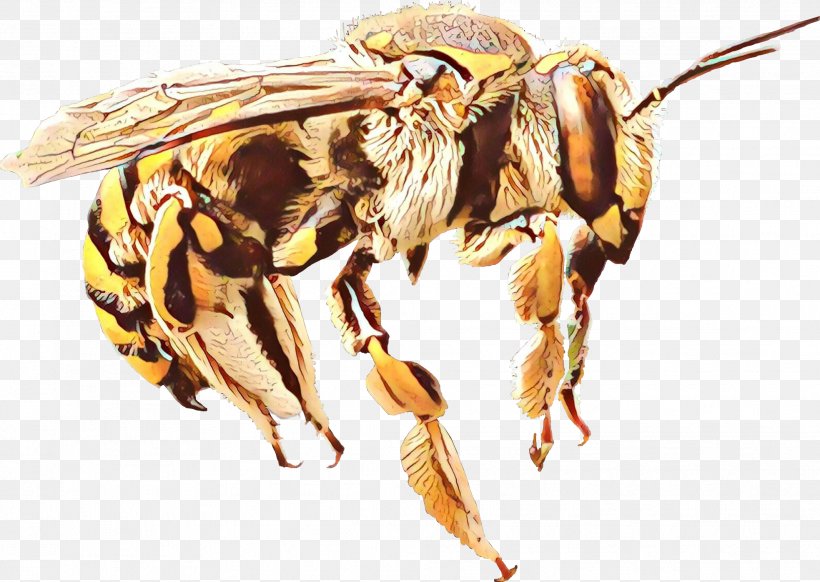 Honey Background, PNG, 1967x1397px, Honey Bee, Bee, Black Fly, Blowflies, Carpenter Bee Download Free