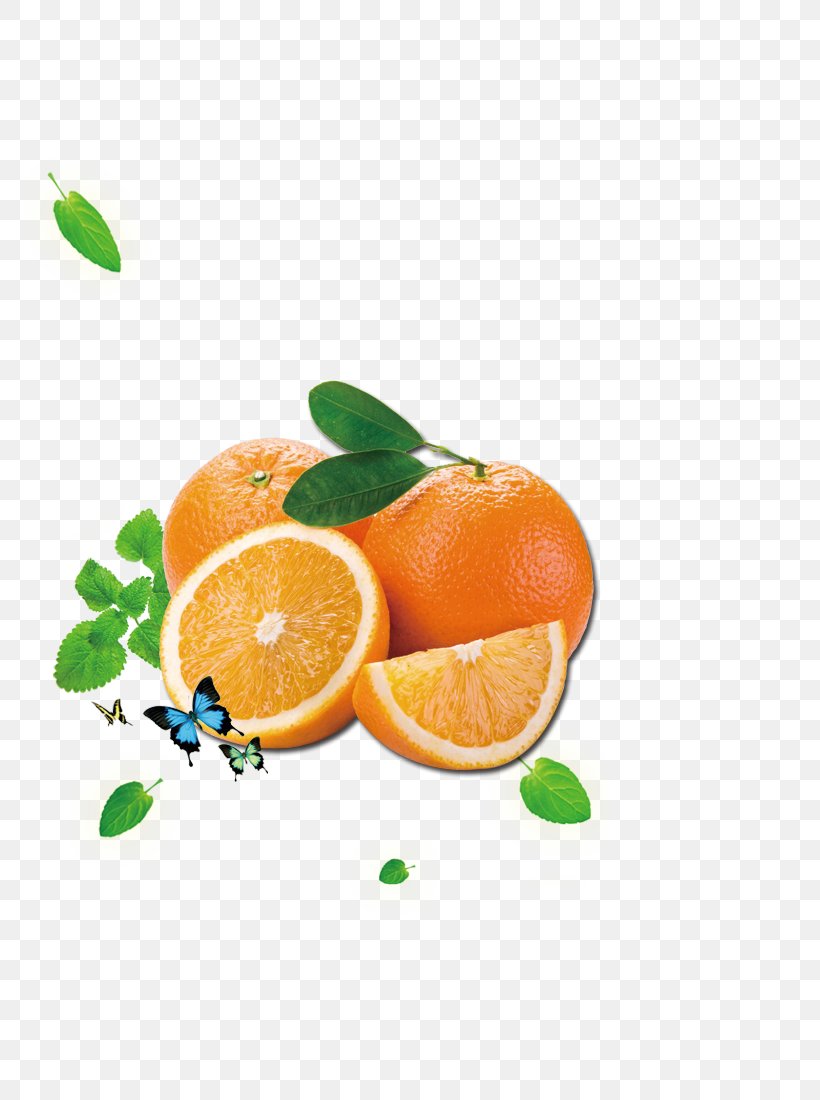 Orange Juice Citrus Xd7 Sinensis Cam Sxe0nh, PNG, 800x1100px, Orange Juice, Cam Sxe0nh, Citric Acid, Citrus, Citrus Xd7 Sinensis Download Free