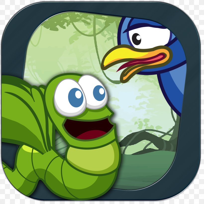 Tree Frog Flightless Bird, PNG, 1024x1024px, Tree Frog, Amphibian, Beak, Bird, Cartoon Download Free