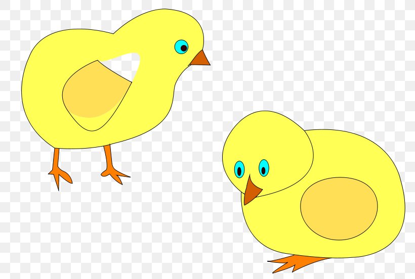 Chicken Clip Art, PNG, 800x552px, Chicken, Beak, Bird, Drawing, Duck Download Free