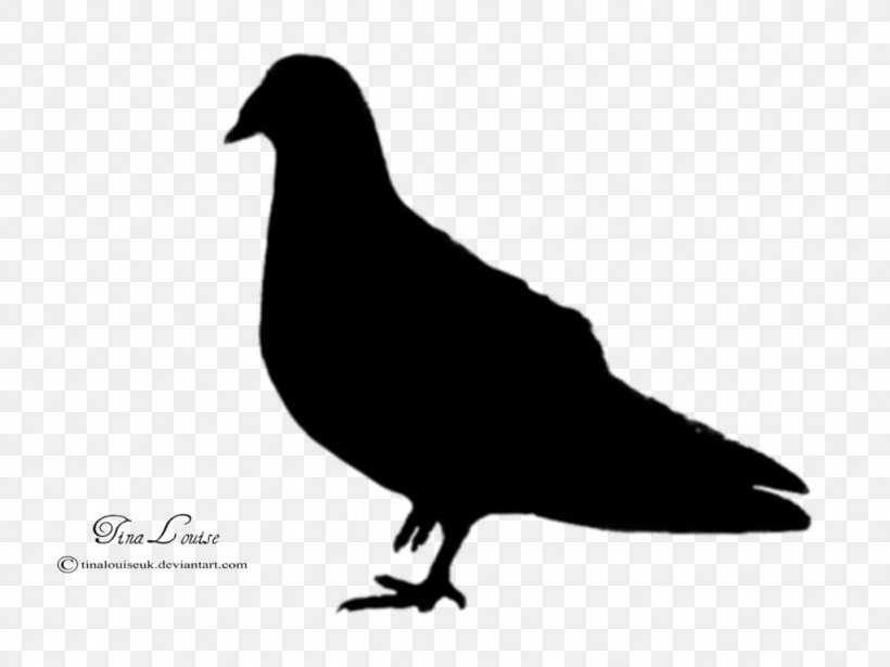 Domestic Pigeon Columbidae Bird Silhouette, PNG, 1024x768px, Domestic Pigeon, Animal, Beak, Bird, Black And White Download Free