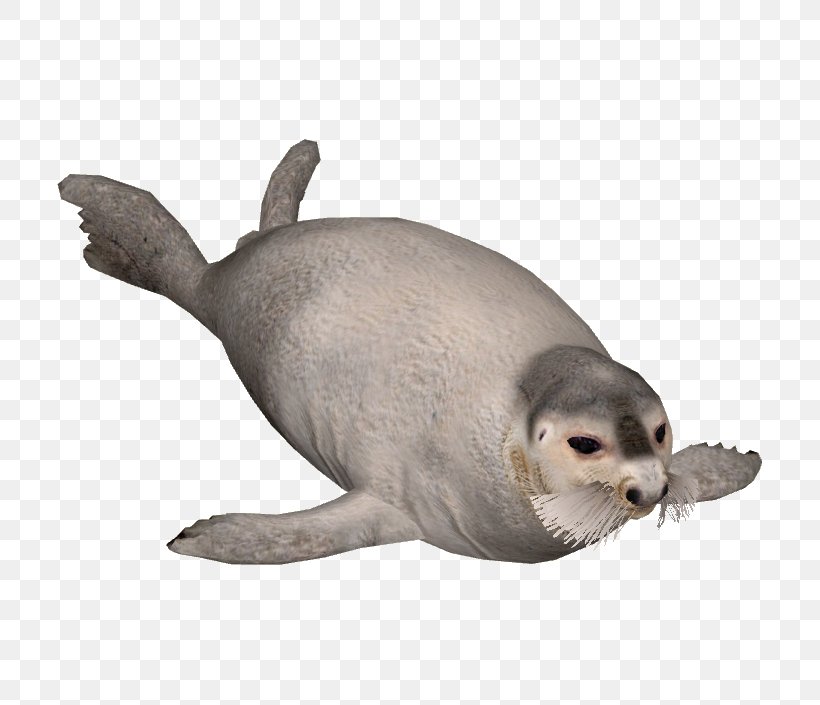 Harbor Seal Sea Lion Earless Seal Bearded Seal, PNG, 705x705px, Harbor Seal, Animal, Animal Figure, Bearded Seal, Earless Seal Download Free