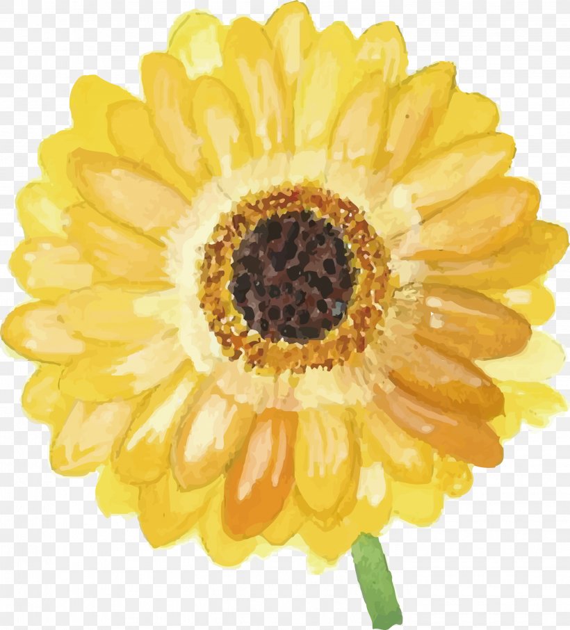 Yellow Daisy, PNG, 2834x3133px, Flower, Chrysanths, Common Daisy, Cut Flowers, Daisy Family Download Free