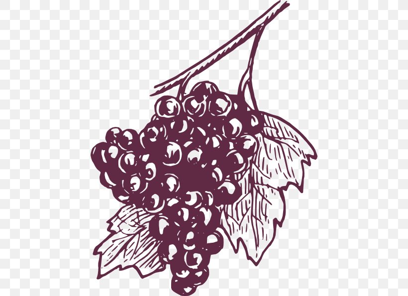Common Grape Vine Wine Concord Grape Grape Juice, PNG, 456x595px, Common Grape Vine, Art, Artwork, Black And White, Branch Download Free