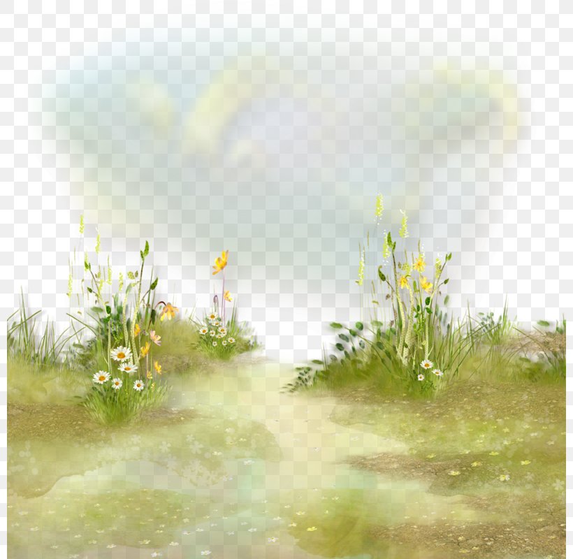 Flower Meadow Grass Herbaceous Plant Clip Art, PNG, 800x800px, Flower, Calm, Computer, Ecoregion, Flower Garden Download Free
