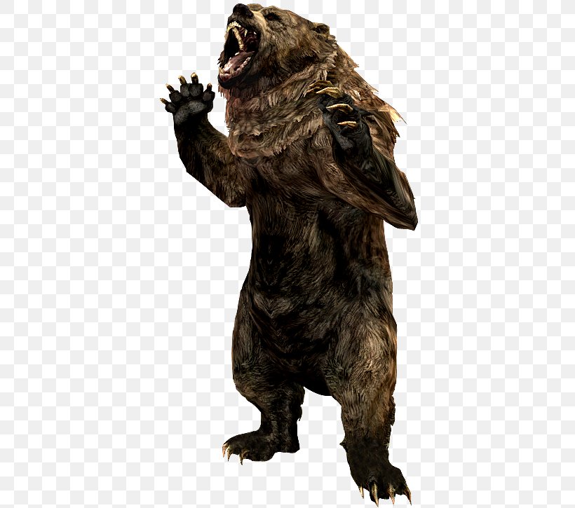 Grizzly Bear The Elder Scrolls V: Skyrim – Dragonborn Cave Bear Animal Alaska Peninsula Brown Bear, PNG, 375x725px, Grizzly Bear, Alaska Peninsula Brown Bear, Animal, Bear, Bears Download Free