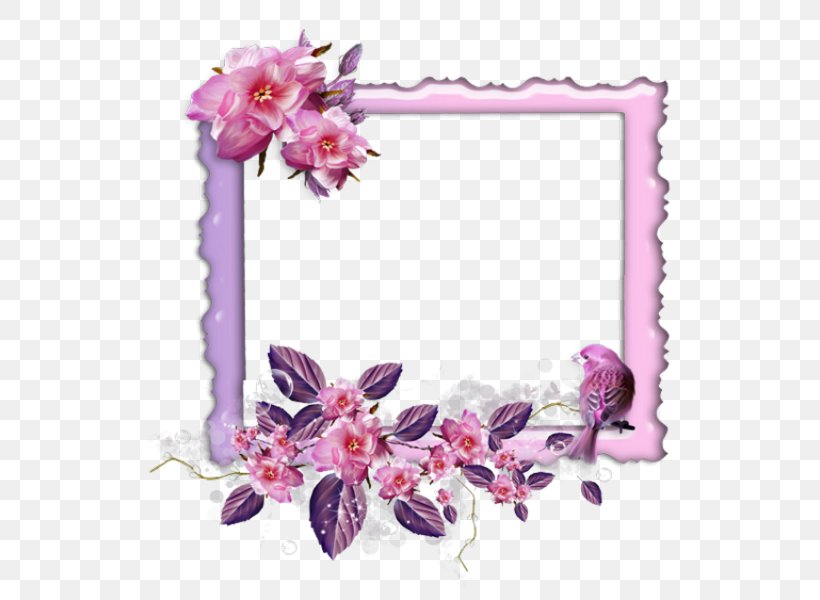Picture Frames Graphic Design Photography, PNG, 565x600px, Picture Frames, Blossom, Cherry Blossom, Cut Flowers, Film Frame Download Free