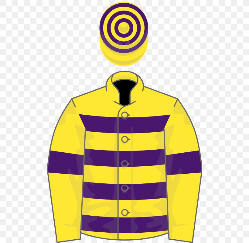 Special Tiara Sire De Grugy T-shirt Horse Racing Steeplechase, PNG, 512x799px, Special Tiara, Foal, Horse Racing, Jacket, Jersey Download Free