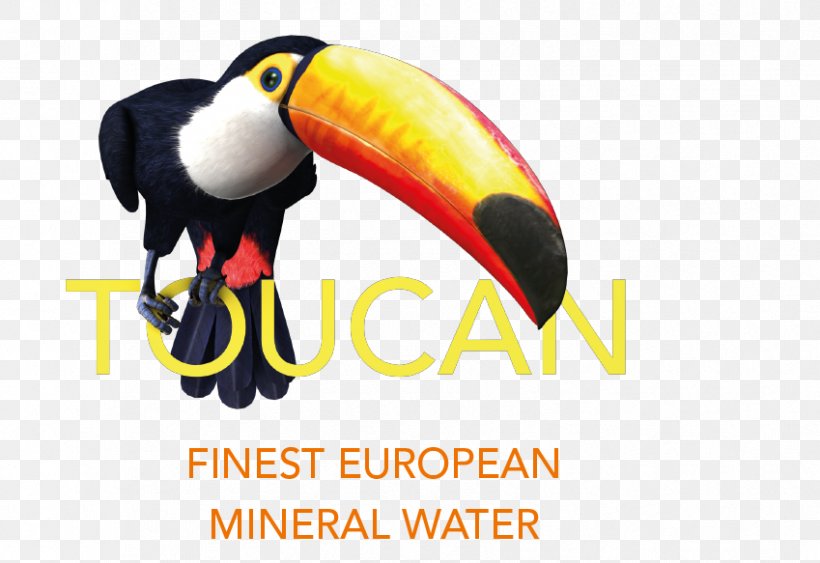 Toucan Mineral Water Beak Austria, PNG, 849x583px, Toucan, Advertising, Austria, Beak, Bird Download Free