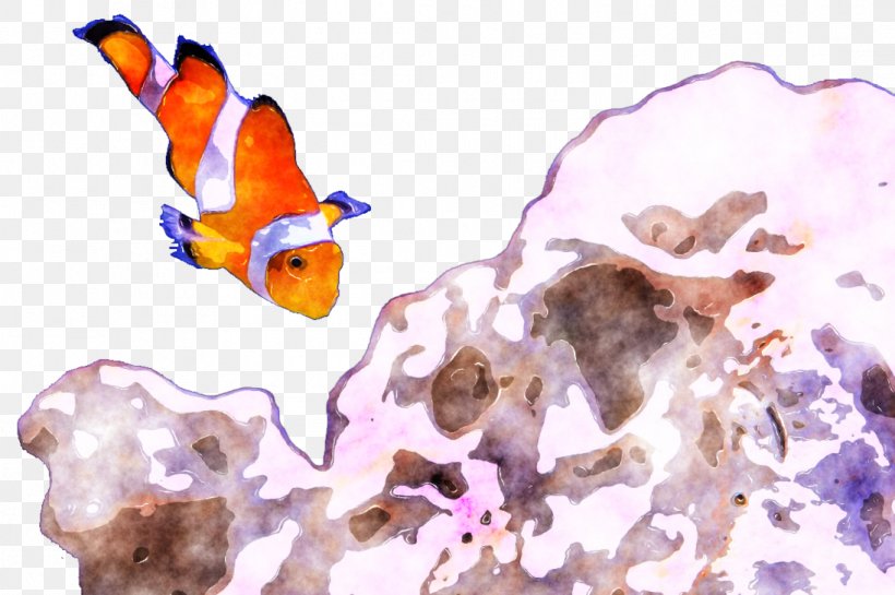 Watercolor Painting Marine Biology Text, PNG, 1095x729px, Watercolor Painting, Biology, Cardmaking, Coral, Coral Reef Download Free