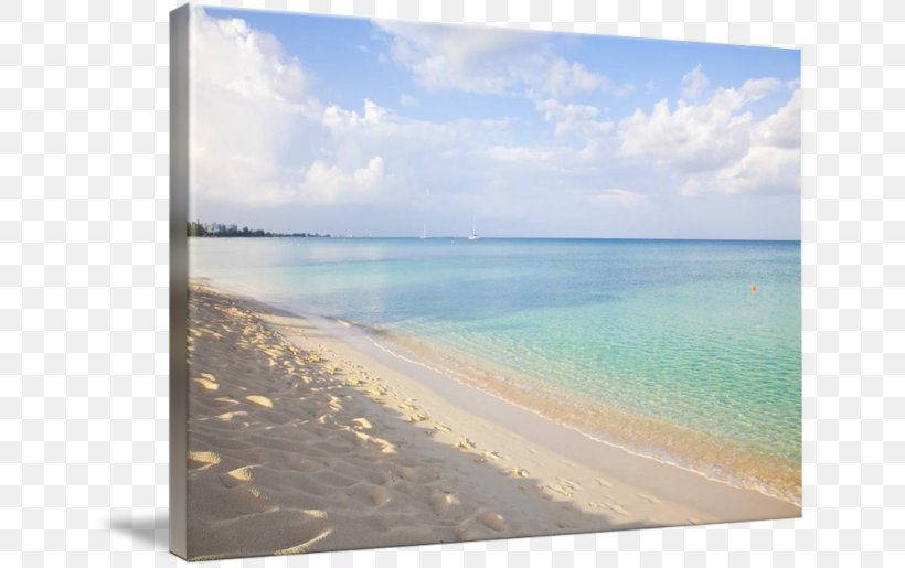 Caribbean Sea Beach Coast Ocean, PNG, 650x515px, Caribbean, Beach, Coast, Coastal And Oceanic Landforms, Horizon Download Free